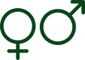 Gender-segregated icon